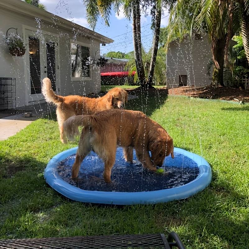 Golden retrievers having fun on a dog cooling sprinkler pad, splashing water on a sunny day in the backyard.