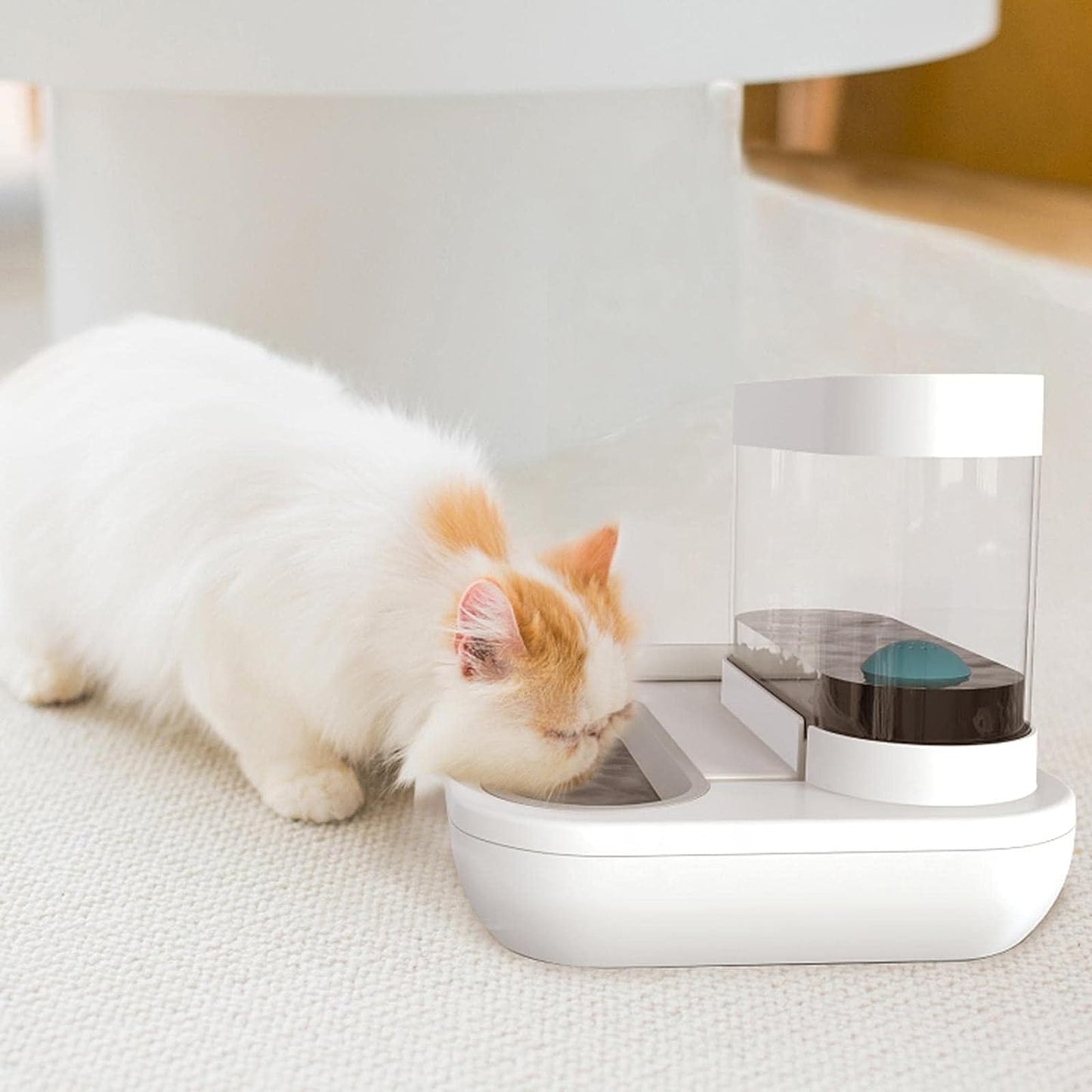 Automatic Feeder & Water Dispenser