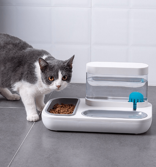 Automatic Feeder & Water Dispenser