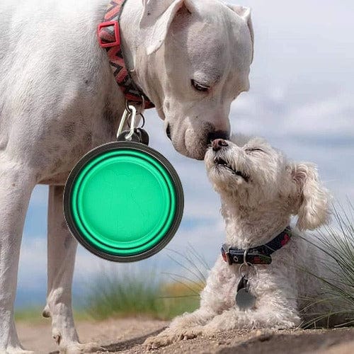 Collapsible Travel Pet Bowl - Buddies Pet Shop
