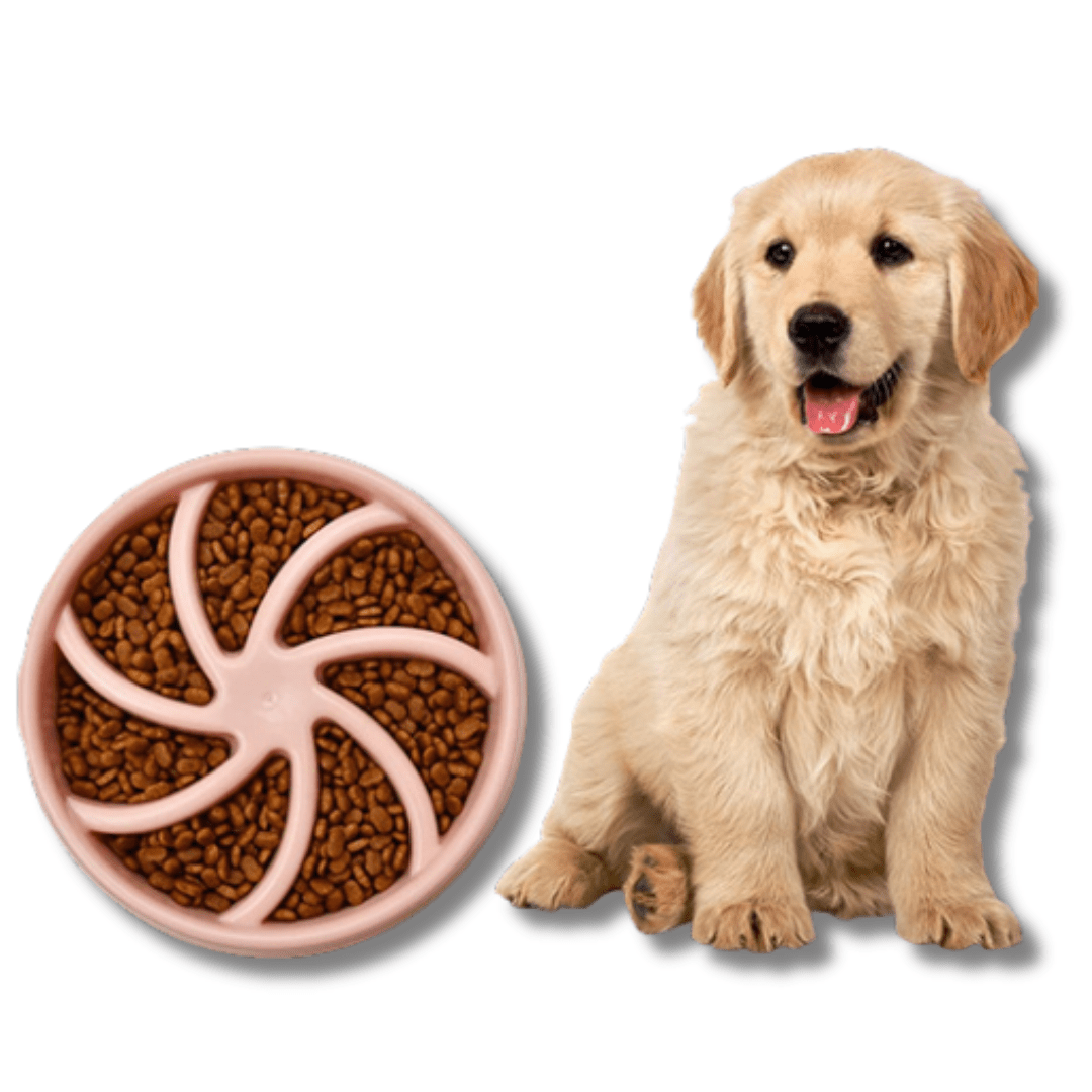 slow feeder dog bowl