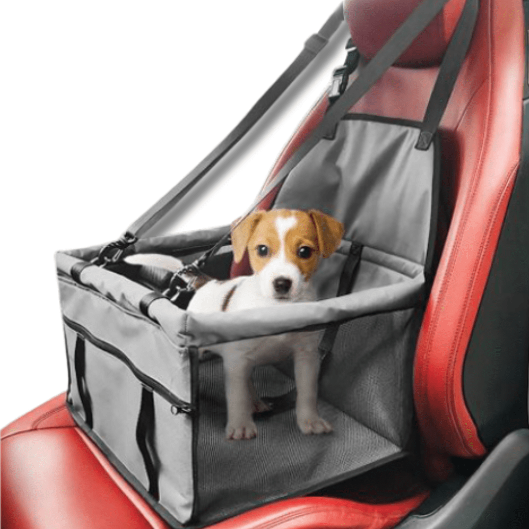 Dog carrier and car seat hotsell