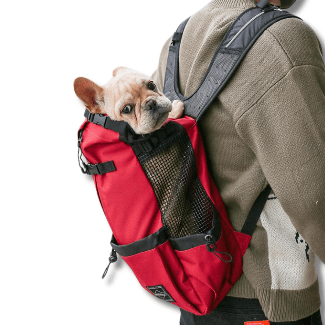 Hiking pet carrier hotsell