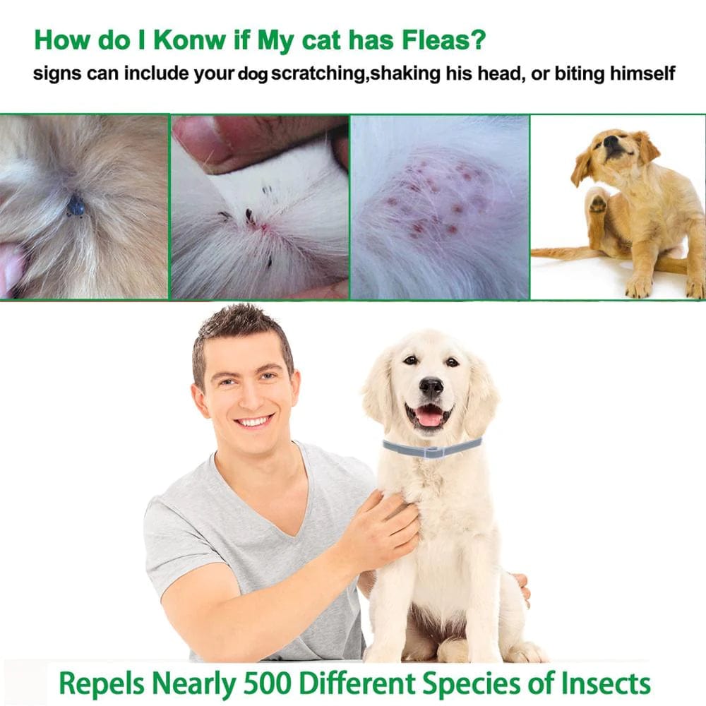 Essential Oil Flea & Tick Collar