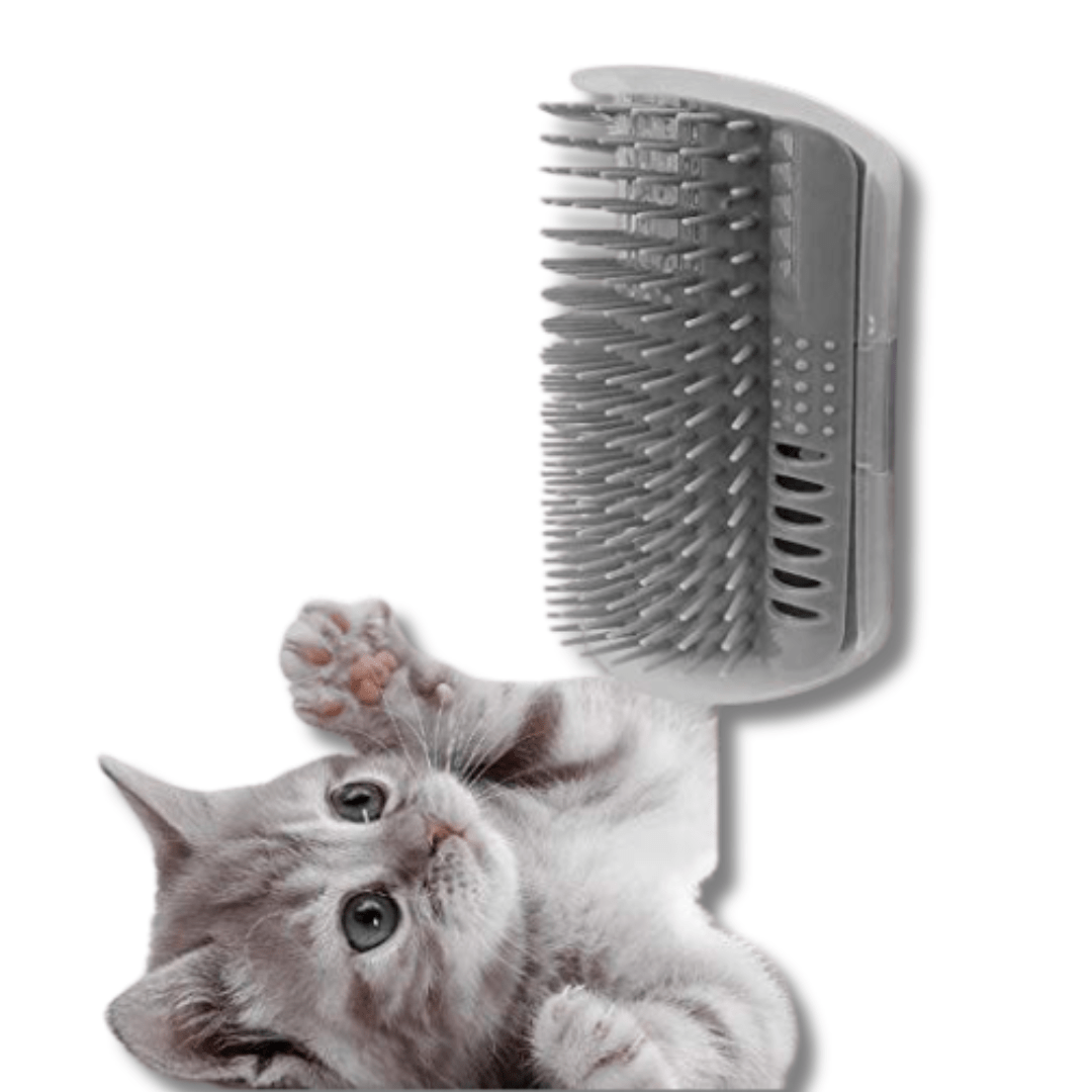 Self-Grooming Rubbing Brush