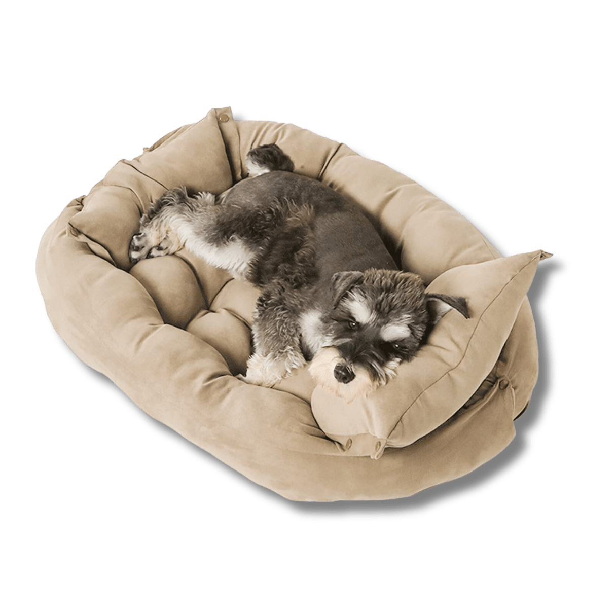 3-in-1 Luxury Sofa Dog Bed
