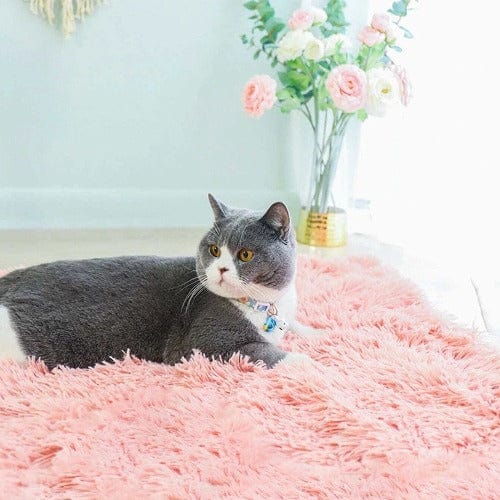 Calming Snuggle Blanket - Buddies Pet Shop