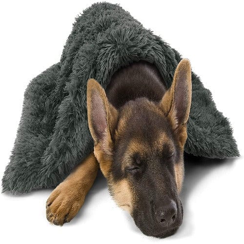 Calming Snuggle Blanket - Buddies Pet Shop