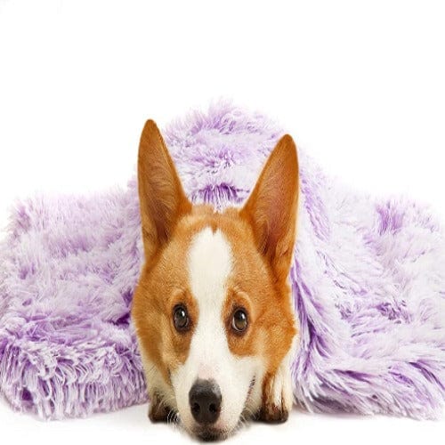 Calming Snuggle Blanket - Buddies Pet Shop