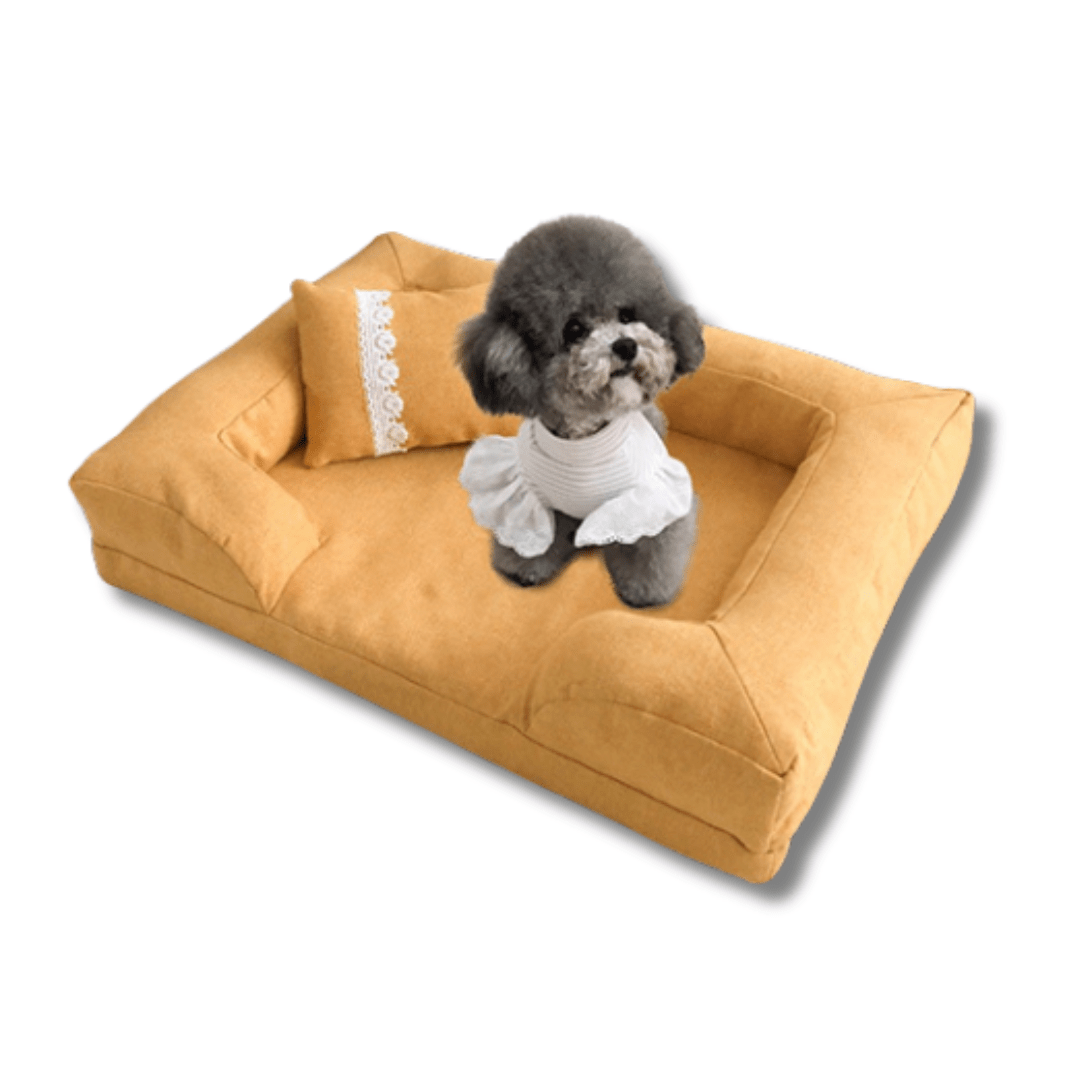 ortho dog bed
