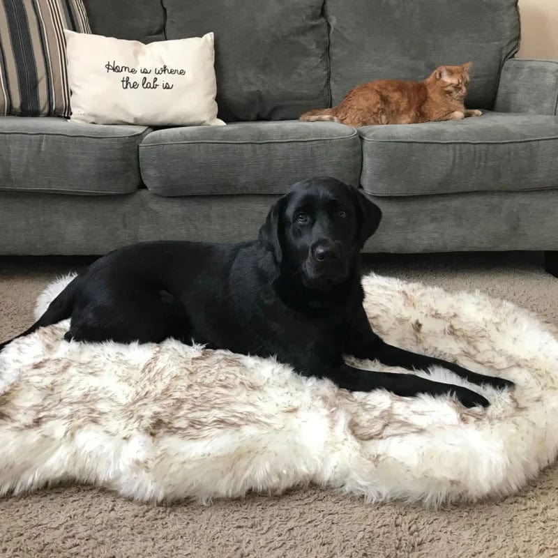 Fluffy Dog Rug
