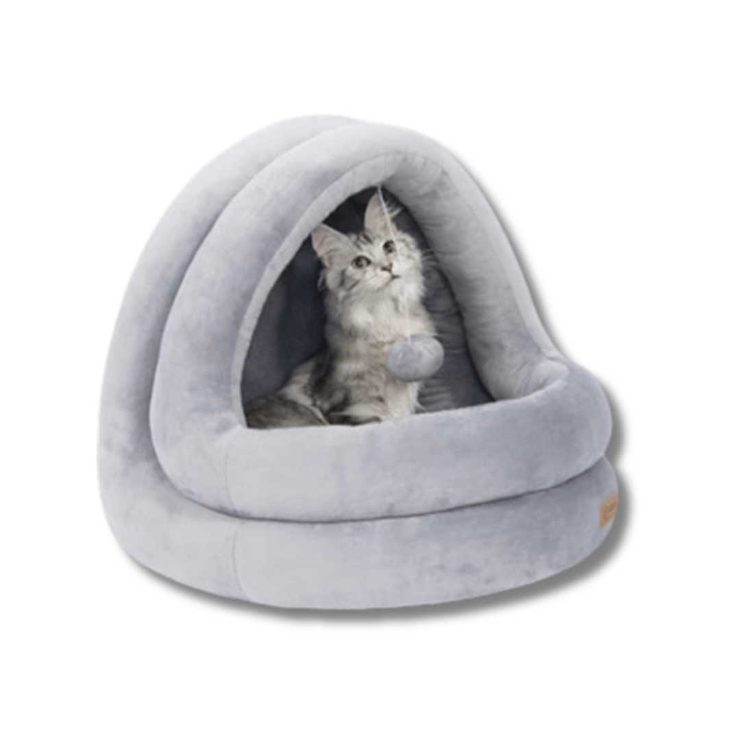 cat bed