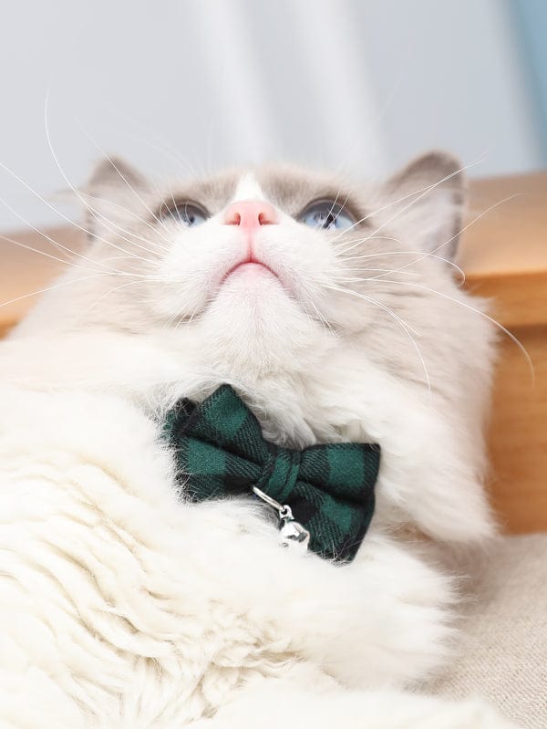 Bow Tie Cat Collar with Bell