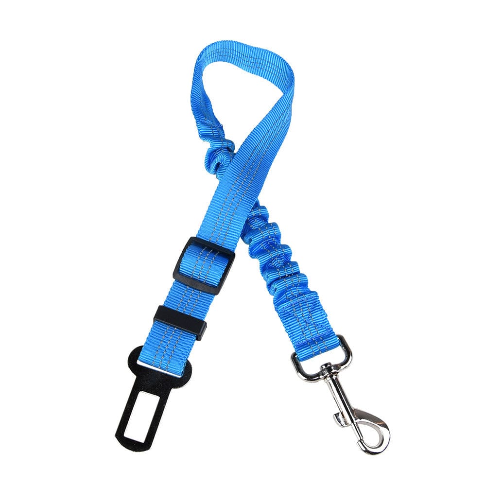 Click Clack Car Leash - Buddies Pet Shop