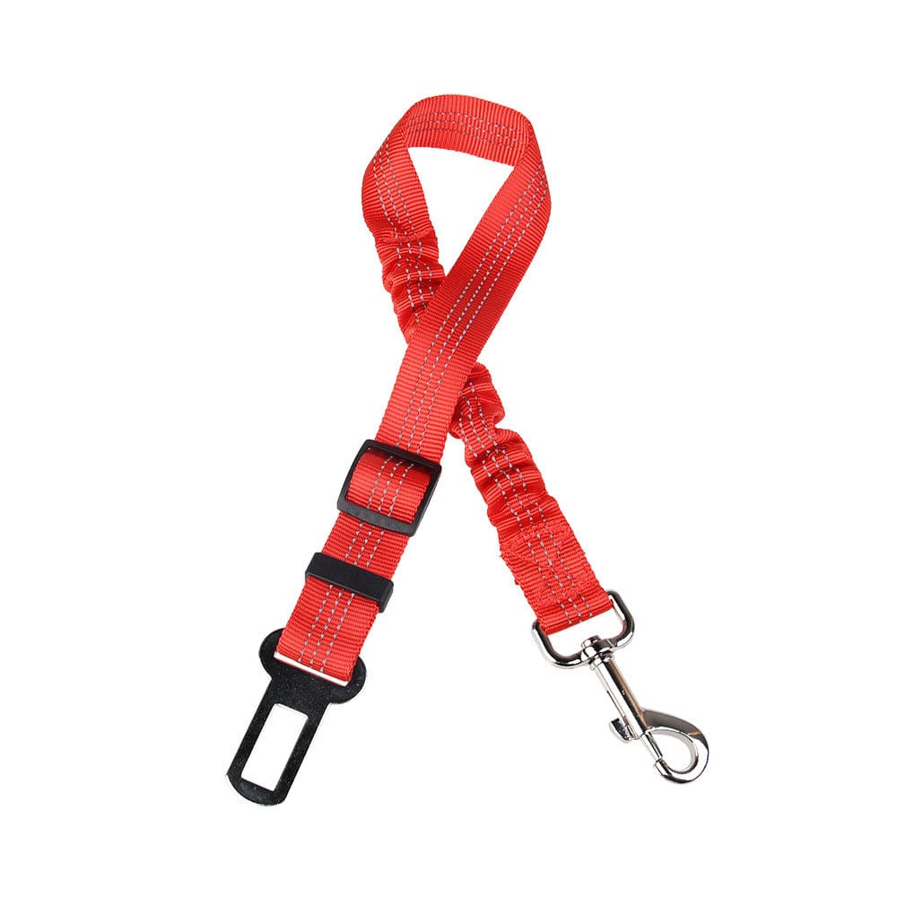 Click Clack Car Leash - Buddies Pet Shop