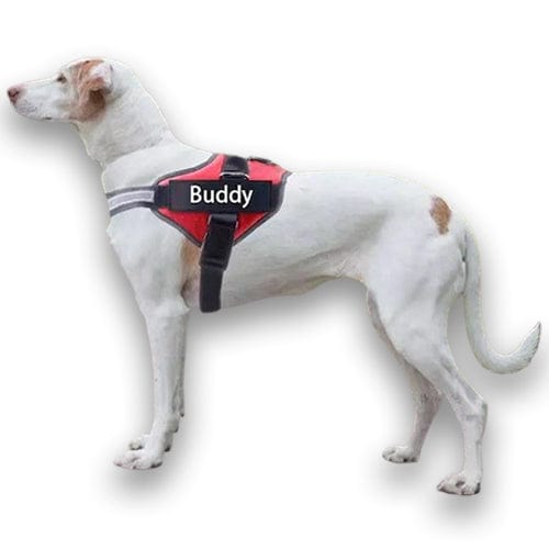 Personalised No Pull Dog Harness - Buddies Pet Shop