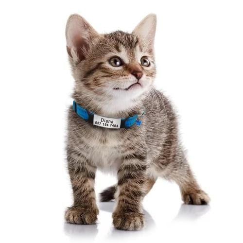 Personalized Engraved Cat Collars - Buddies Pet Shop