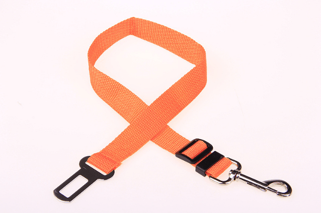 Seat Belt Safety Leash