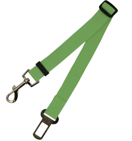 Seat Belt Safety Leash