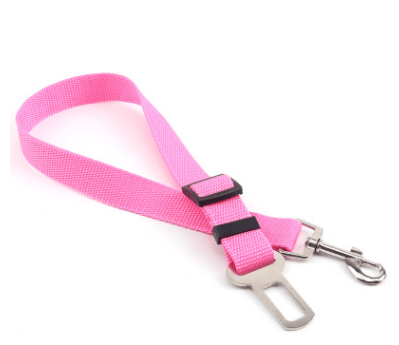 Seat Belt Safety Leash