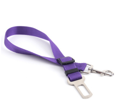 Seat Belt Safety Leash