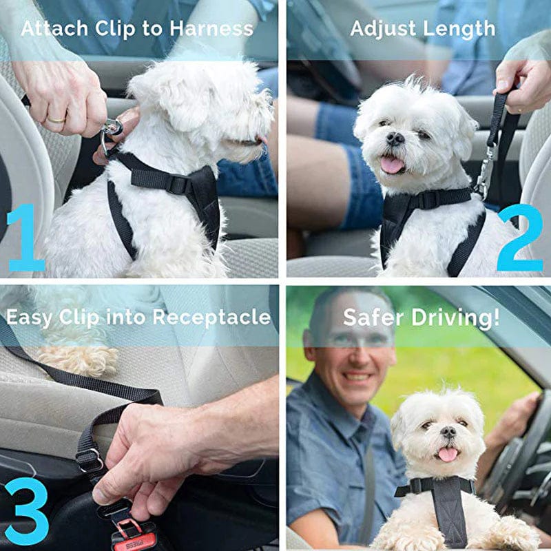 Seat Belt Safety Leash