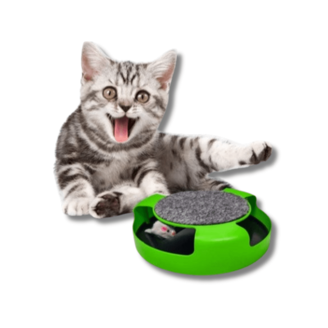 Hidden Mouse Interactive Cat Toy