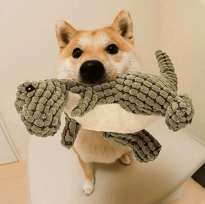 Plush Dino Dog Toy