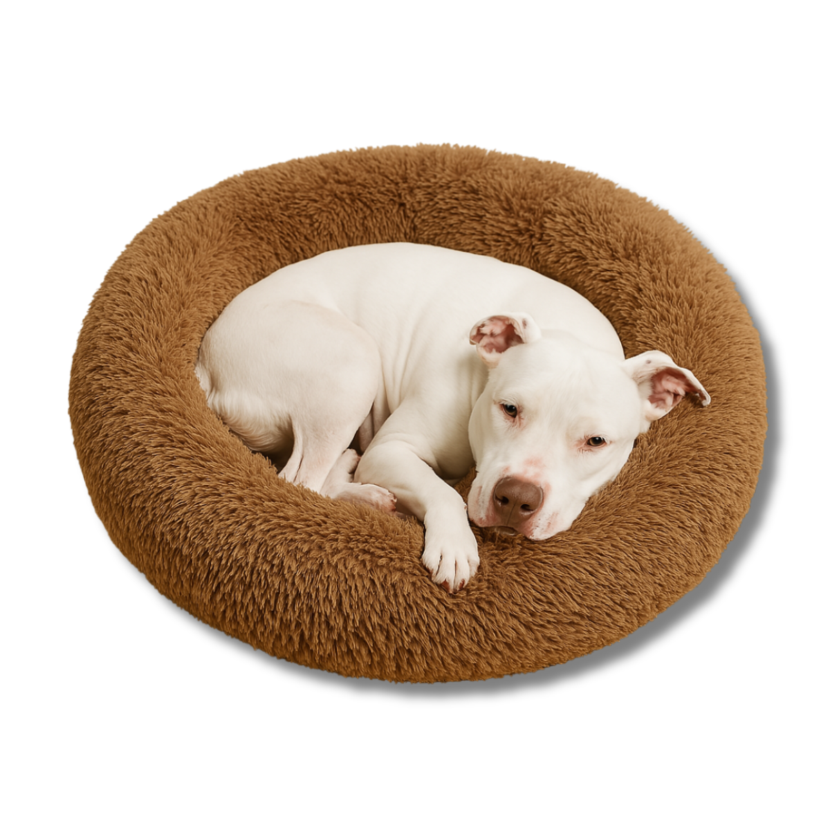 Calming Dog Bed with Removable Cover