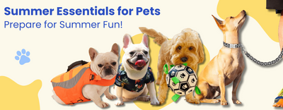 pets summer products