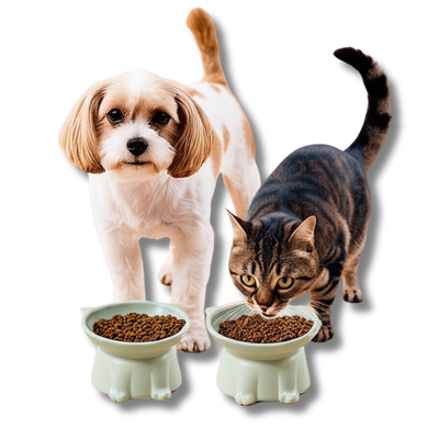 Elevated Porcelain Pet Bowl - Stylish Raised Feeder