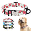 Personalized Engraved Dog Collar
