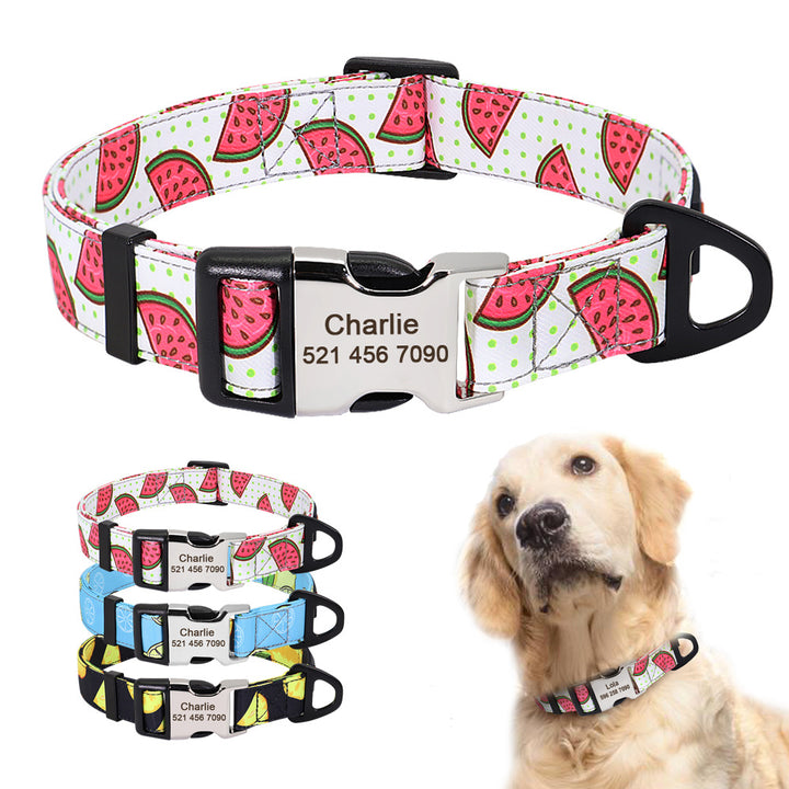 Personalized Engraved Dog Collar