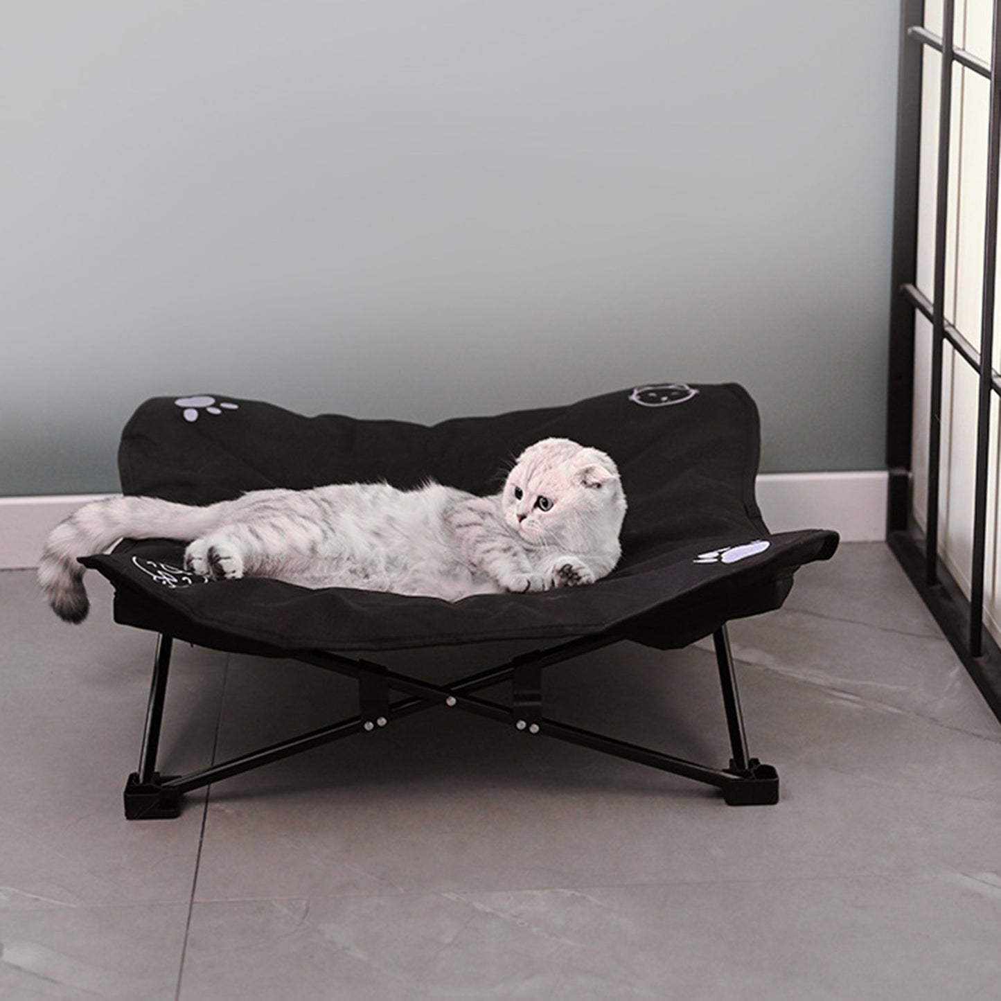 Fold & Go Outdoor Pet Bed