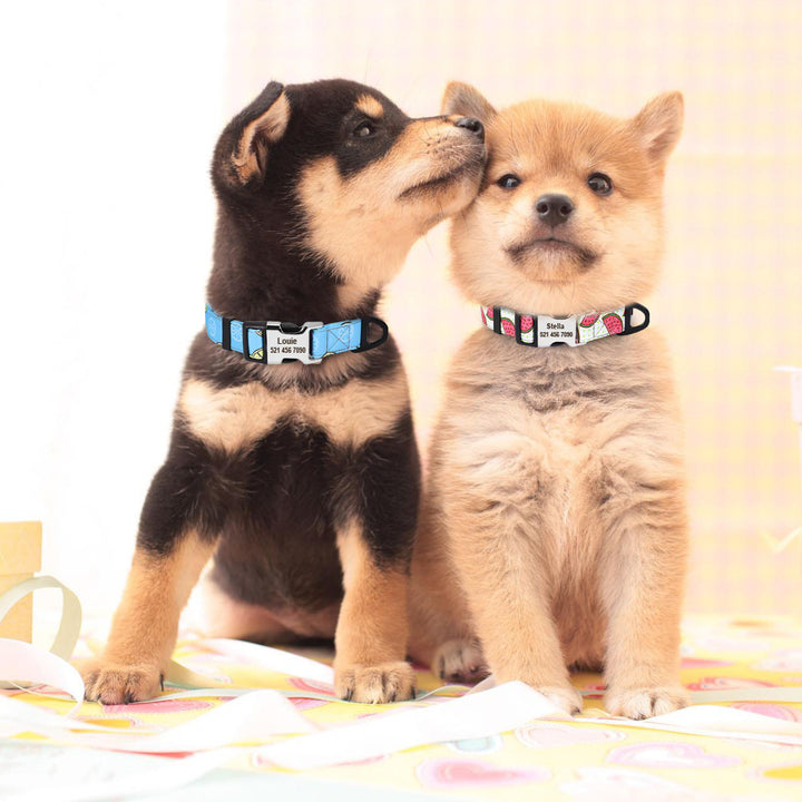 Personalized Engraved Dog Collar