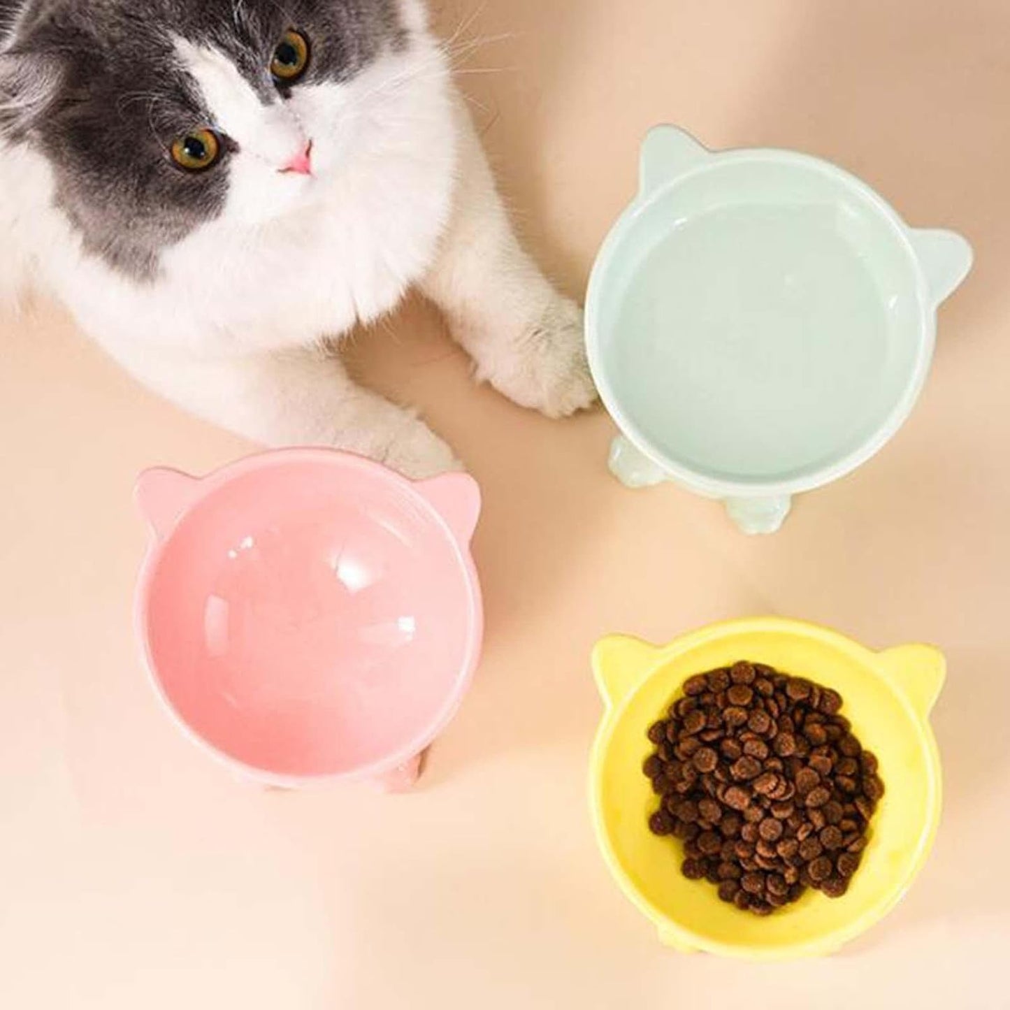 Elevated Porcelain Pet Bowl - Stylish Raised Feeder