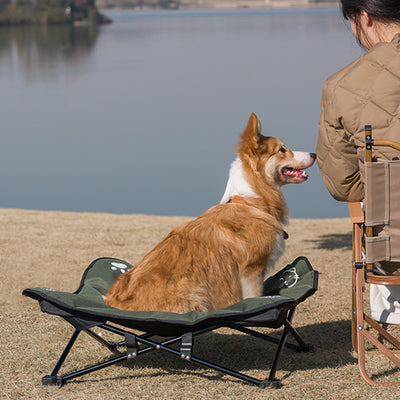 Fold & Go Outdoor Pet Bed