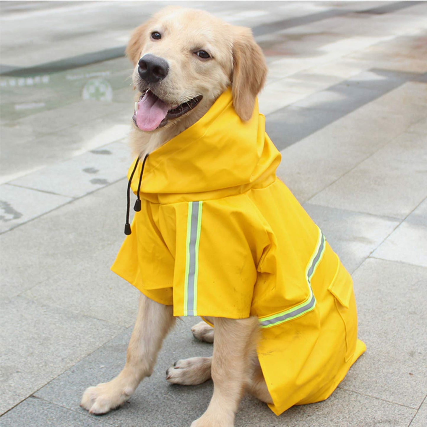 Waterproof Dog Raincoat