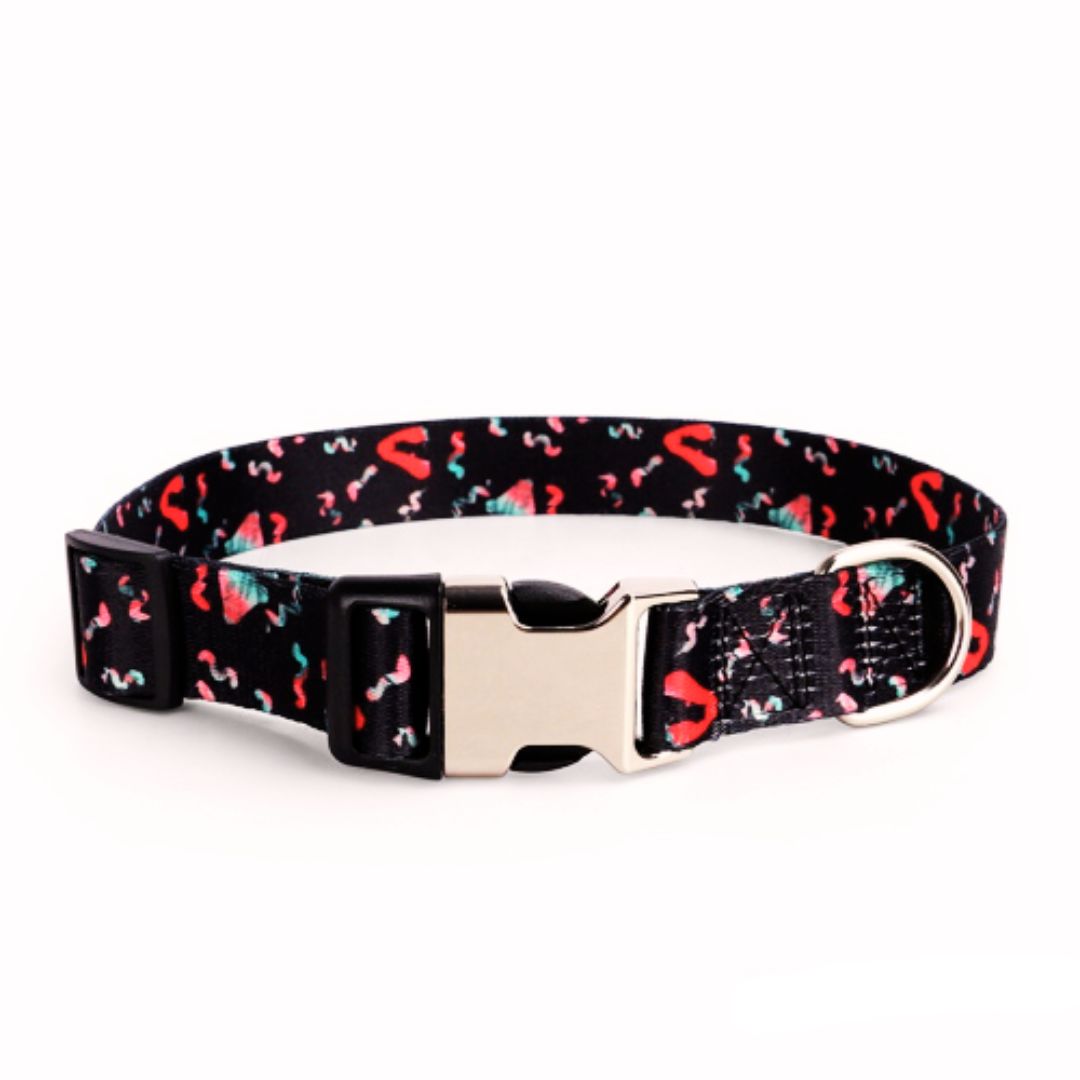 Personalized Engraved Dog Collar