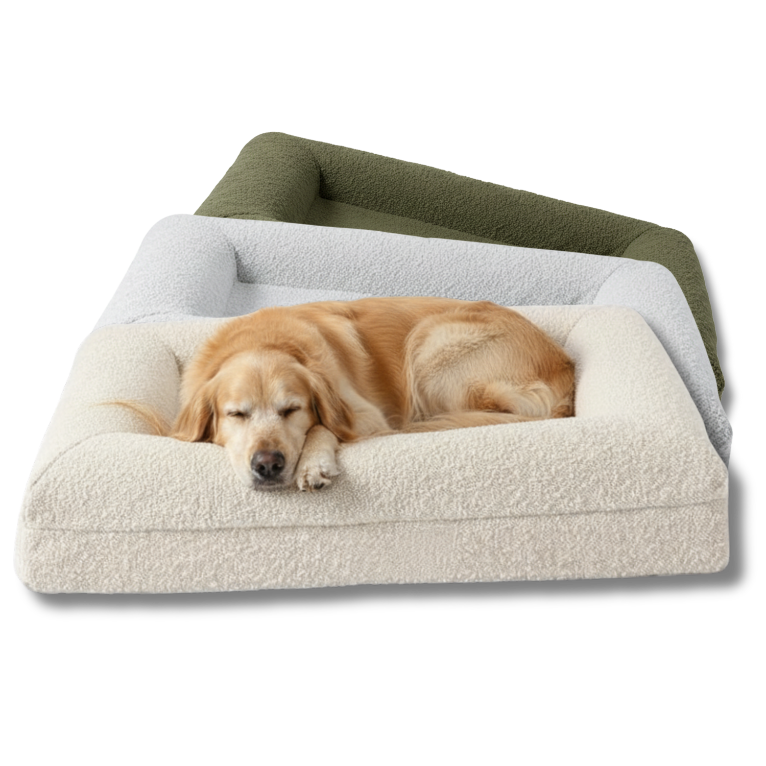 Dog resting on a plush pet bed boucle luxurious jumbo sizes