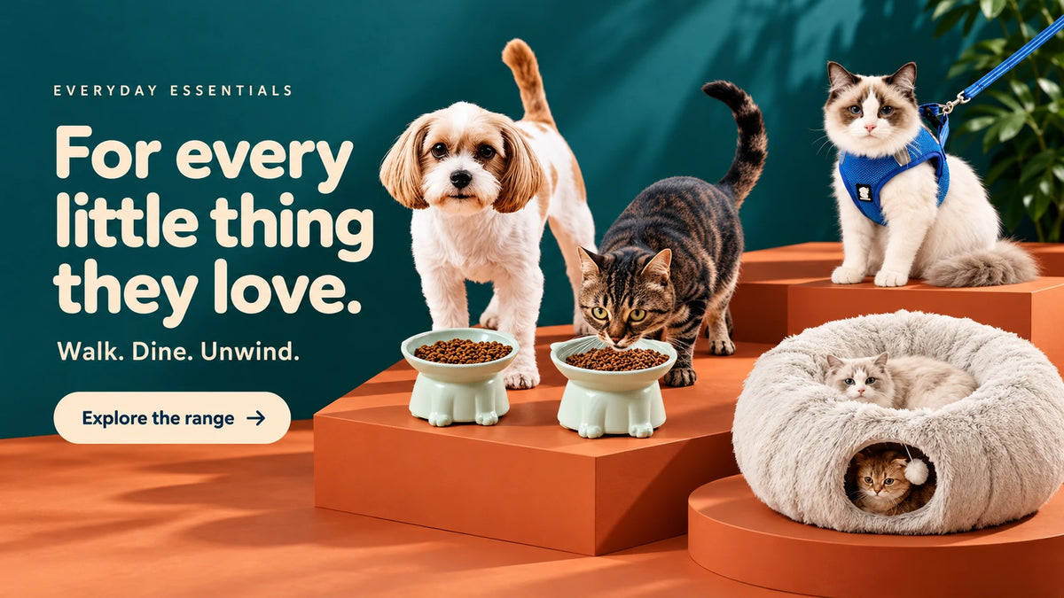 Everyday essentials. For every little thing they love. Walk. Dine. Unwind. Explore the range. Pets with blue cat harness, mint bowls and cream cat tunnel.