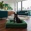 Luxury Bouclé Memory Foam Dog Bed