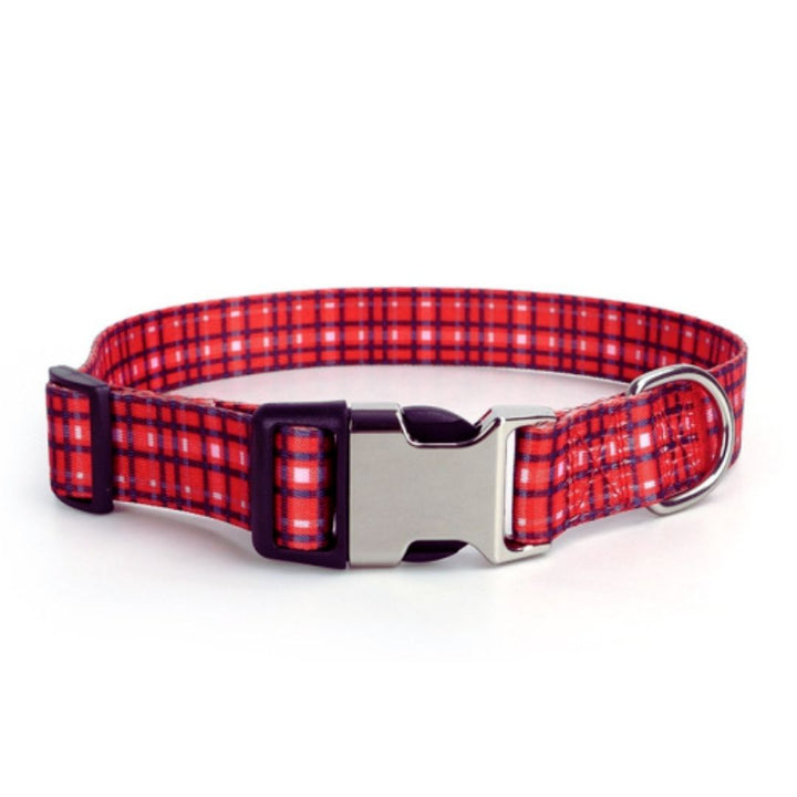 Personalized Engraved Dog Collar