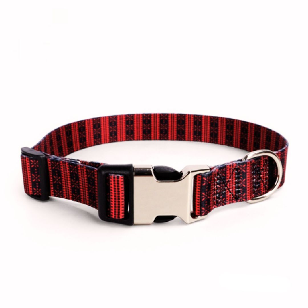 Personalized Engraved Dog Collar