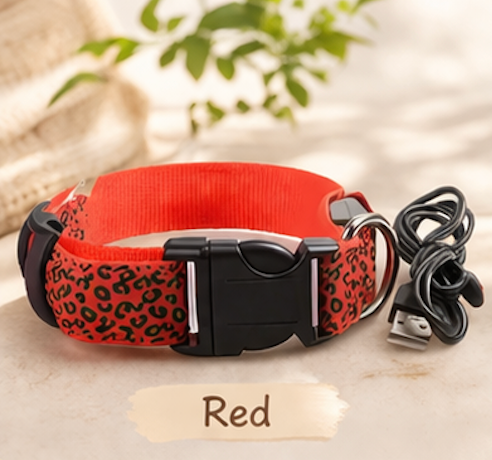 Safety LED light up Collars
