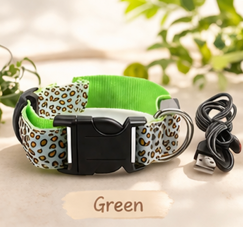 Safety LED light up Collars