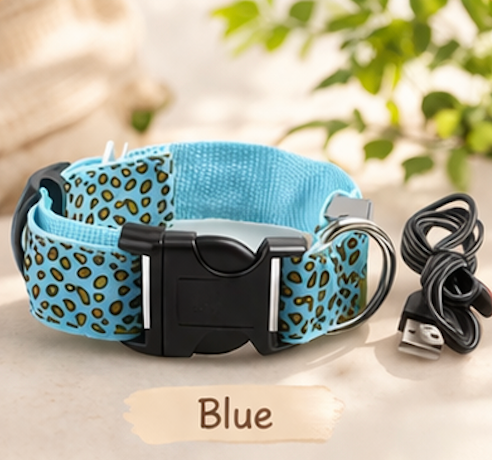 Safety LED light up Collars