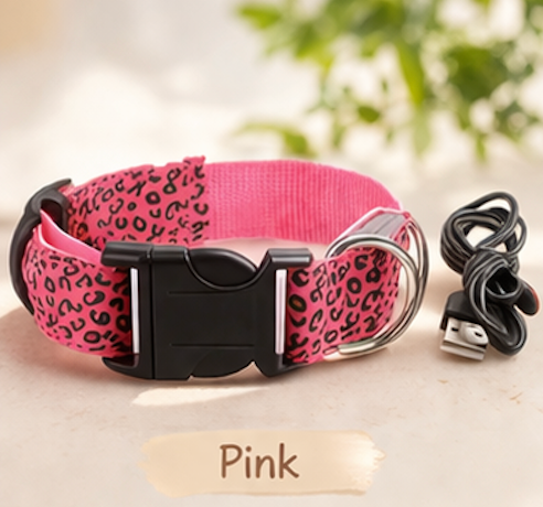 Safety LED light up Collars