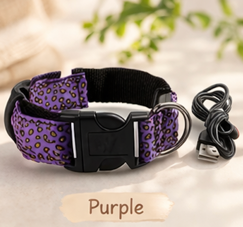 Safety LED light up Collars