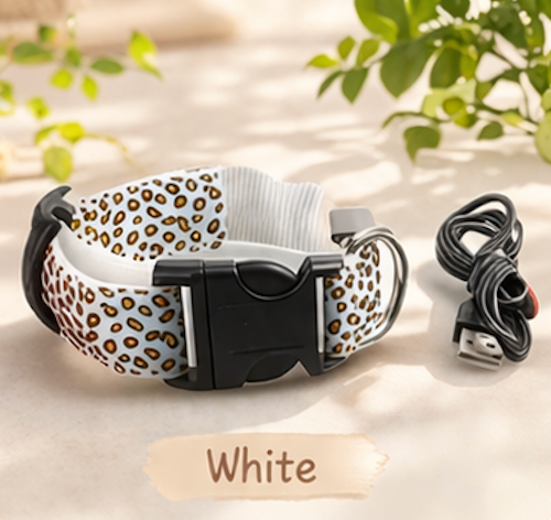 Safety LED light up Collars